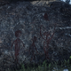 Illustration for article titled Red Dead Redemption 2 Players Keep Finding Creepy Easter Eggs